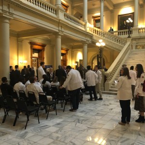 Georgia State Capitol DeKalb Delegation Meeting February 4, 2020. Neighbors Against Greenhaven and Concerned Citizens in Opposition to Greenhaven are in attendance.